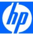 HP L1950g - 1
