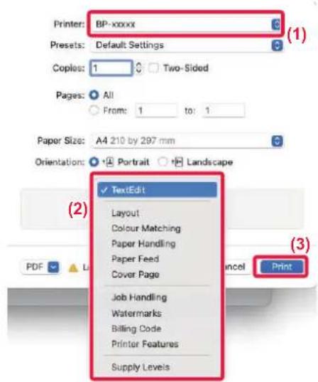 Printer: BP-xxxx Presets: Default Settings Copies: 1 Two-Sided Pages: All From: 1 to: 1 Paper Size: A4 210 by 297 mm Orientation: Portrait Landscape TextEdit Layout Colour Matching Paper Handling Paper Feed Cover Page Job Handling Watermarks Billing Code Printer Features Supply Levels Print
