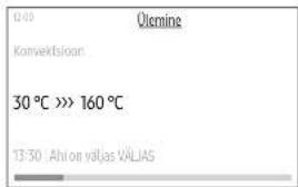 13:00 Ülemine Konvektsioon 30 °C >> 160 °C 13:30 Ahi väljas VÄLJAS