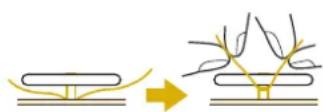 BABY LOCK Radiance - IMPORTANT - 4