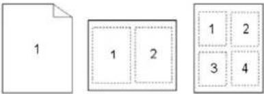 AVISION AP40 Plus - L'onglet Mise en page - 3