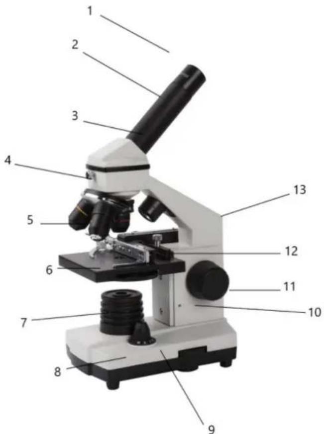 STEINBERG SBS-MK-7 - Dalys - 1