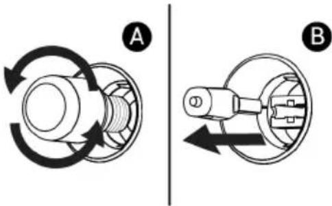 A B