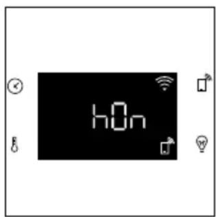 h0n