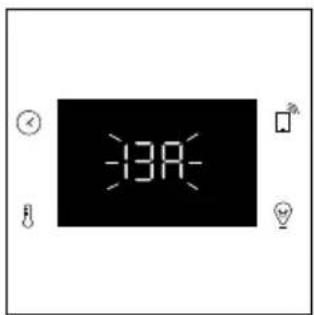 -13A-