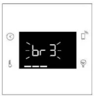 br 3