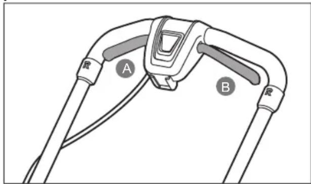 A B
