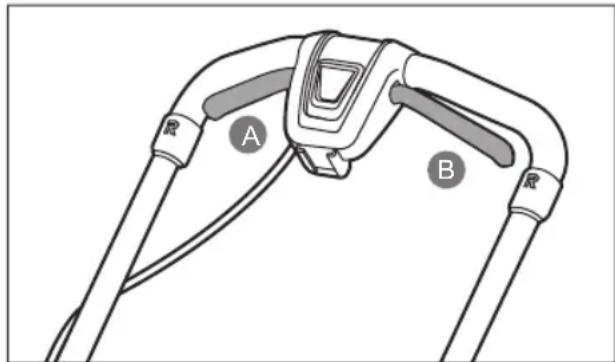 A B