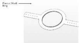 Product Ward Ring