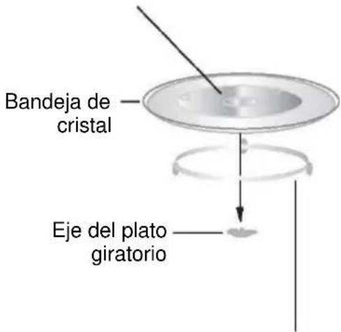 Bandeja de cristal. Eje del plato giratorio.