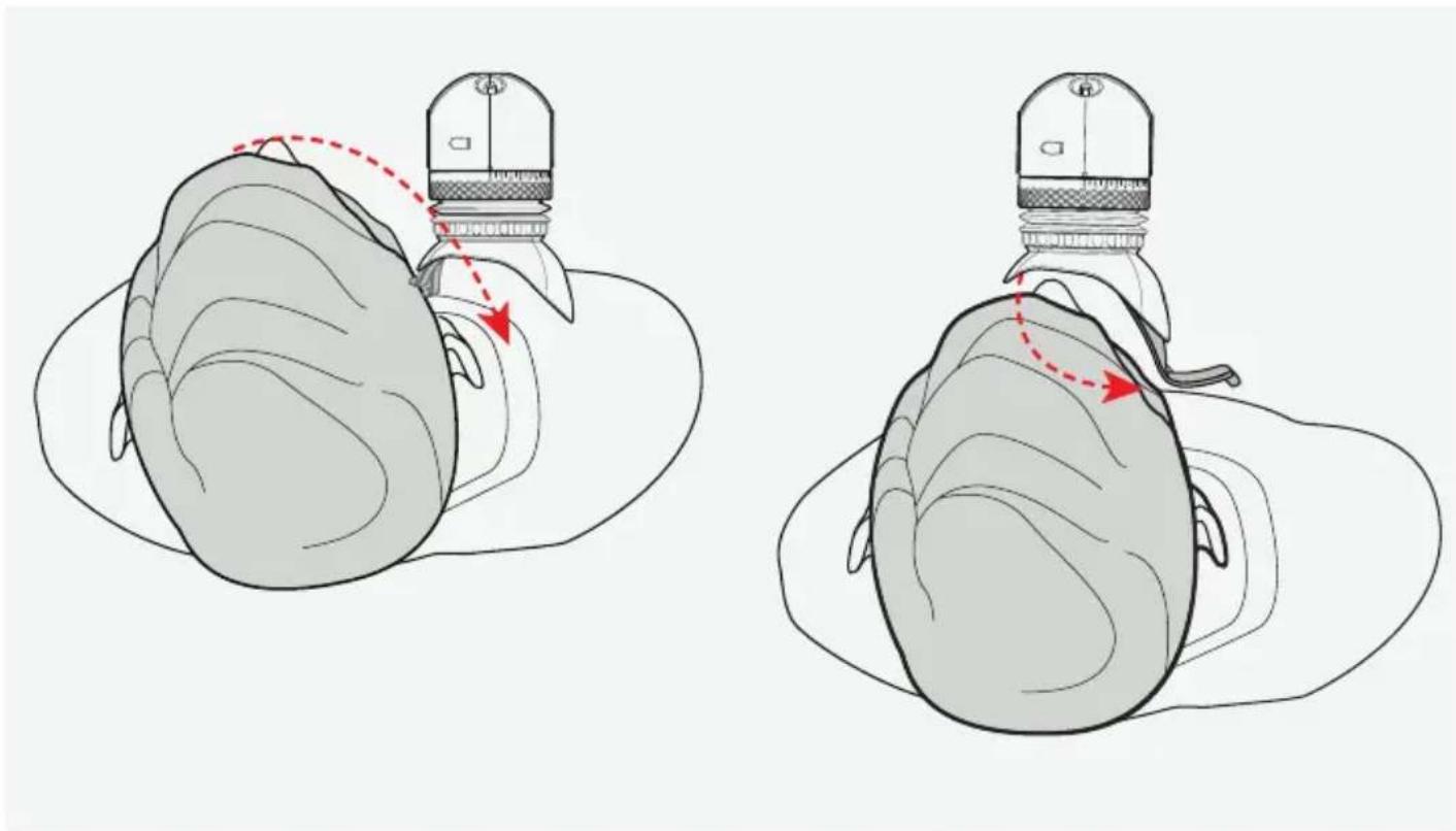 Illustration of a bird's head and neck with a red dashed line indicating movement or positioning (no text or symbols).