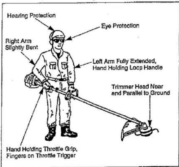 Hearing Protection Eye Protection Right Arm Slightly Bent Left Arm Fully Extended, Hand Holding Loop Handle Trimmer Head Near and Parallel to Ground Hand Holding Throttle Grip, Fingers on Throttle Trigger