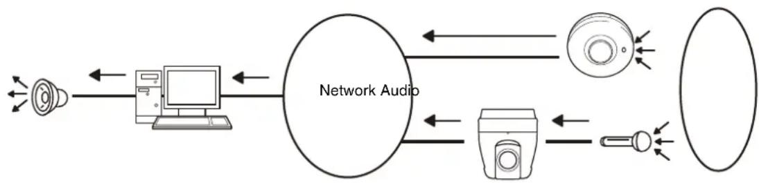 graph LR A["Speaker"] --> B["Computer"] B --> C["Network Audio"] C --> D["CD"] C --> E["Speaker"] C --> F["Oscillator"] D --> G["Output Device"] E --> G F --> G