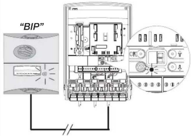 "BIP"