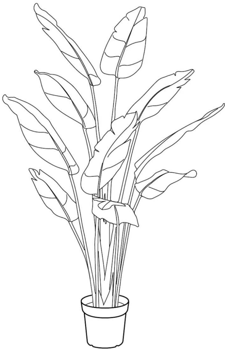 Line drawing of a potted plant with multiple leaves and stems (no text or symbols)