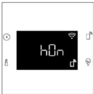 h0n
