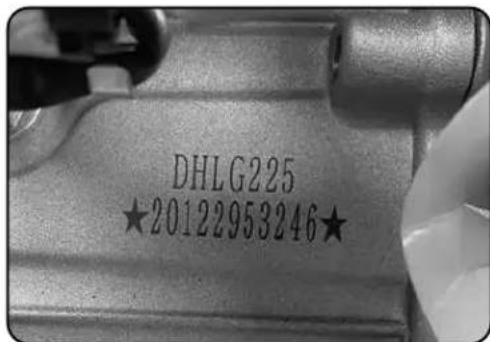 DHLG225 ★20122953246★