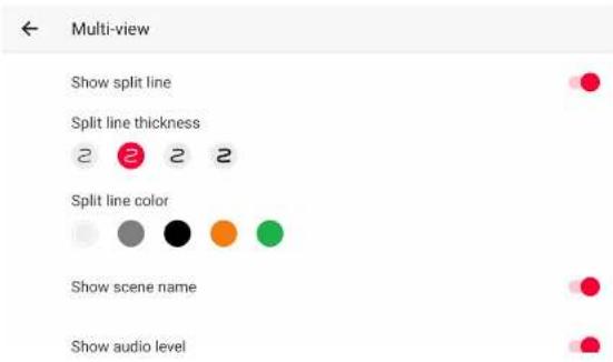 Multi-view Show split line Split line thickness 2 2 2 2 Split line color Show scene name Show audio level