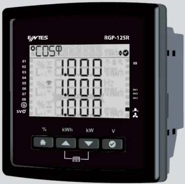 E/MTES RGP-12SR °COSφ 01 02 03 04 05 06 07 08 SV© 1.000 1.000 1.000 % kWh kW V