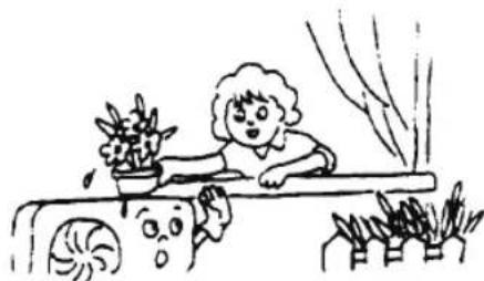 Simple line drawing of a child peeking from behind a window with potted plants and flowers, no text or symbols.