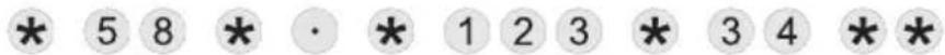* 5 8 * · * 1 2 3 * 3 4 * *