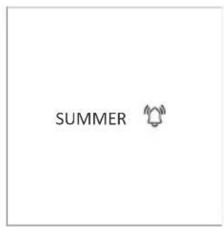 SUMMER