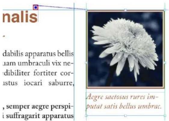 nalis dabilis apparatus bellis uam umbraculi vix ne- dibiliter fortiter cor- ustus iocari saburre, , semper aegre perspi- i suffragarit apparatus Aegre saetosus rures im- putat satis bellus umbrac.