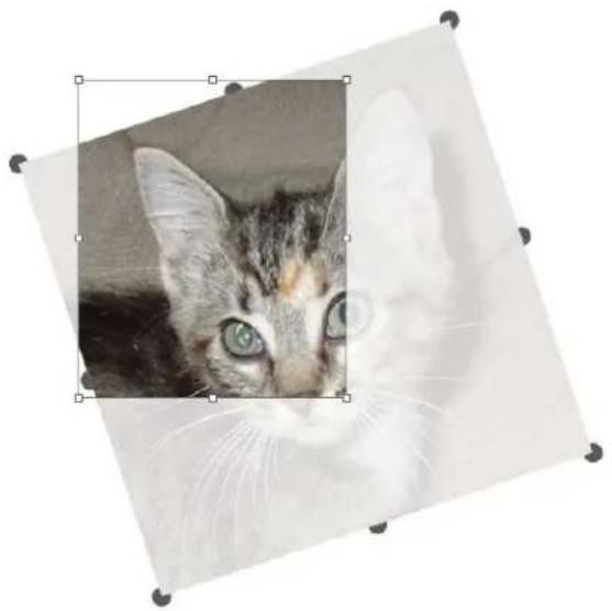 QUARK QuarkXPress 2022 - Picture box displaying picture content handles - 1
