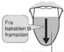 Fra baksiden til framsiden