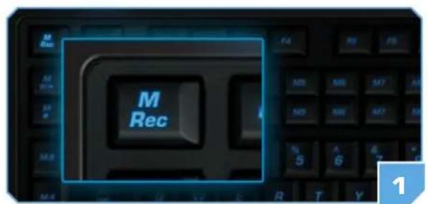 M Rec