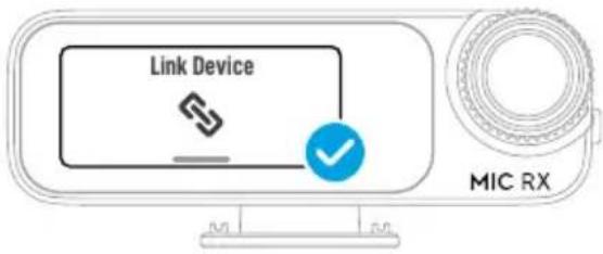 Link Device MIC RX