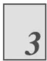 SHARP BP-70M55 - TWO-SIDED PRINTING WITH SPECIFIC PAGES PRINTED ON THE FRONT SIDE (CHAPTER INSERTS) - 2