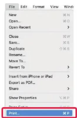 File Edit Format View Wind New % N Open... % O Open Recent > Close % W Save... % S Duplicate % % S Rename... Move To... Revert To > Insert from iPhone or iPad > Export as PDF... Share > Show Properties % P Print... % P