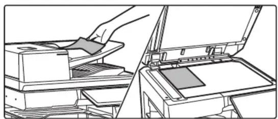 Line drawing of a printer's open lid and stacker, showing hand inserting paper into the holder (no text or symbols)