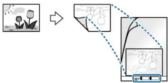 graph TD A["Image: Flower in sun"] --> B["Document: Image with flowers"] B --> C["Document: Document with close-up preview"]
