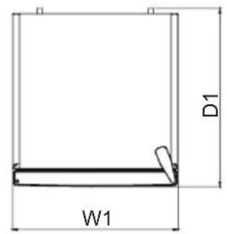 D1 W1
