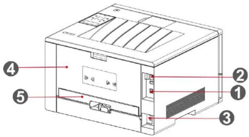 PANTUM BP4200DW - Vue arrière - 1
