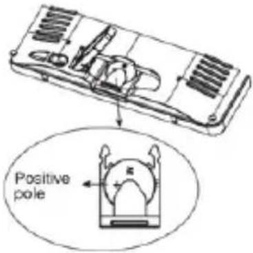 Positive pole