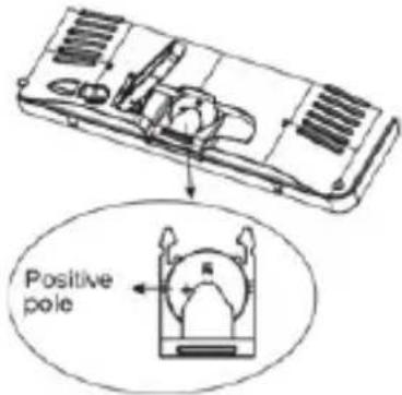 Positive pole