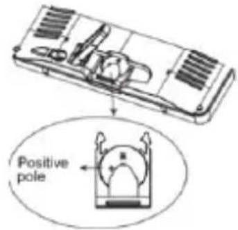 Positive pole