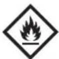 PARKSIDE PBME 575 A1 - Symbole auf dem 5l Benzinkanister - 1