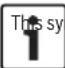 BOSCH Greentherm T9800 SE 160/199 - Important information - 1