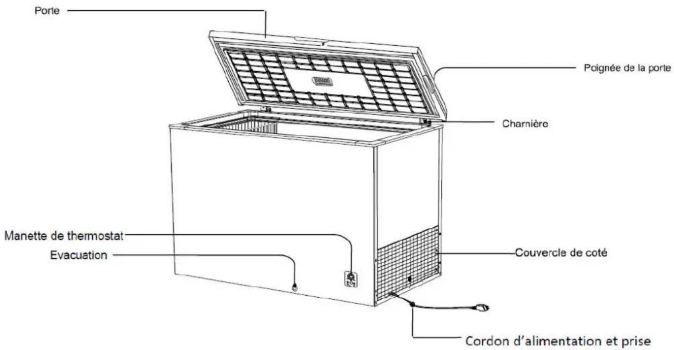 Porte Poignée de la porte Charnière Manette de thermostat Évacuation Couvercle de côté Cordon d'alimentation et prise