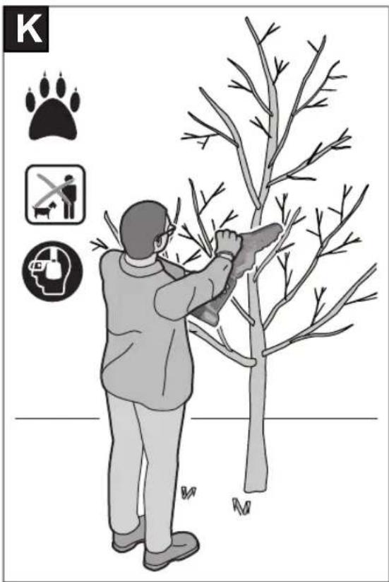 Illustration of a person using a manual to cut a tree with paw prints and other symbols (no text or labels).