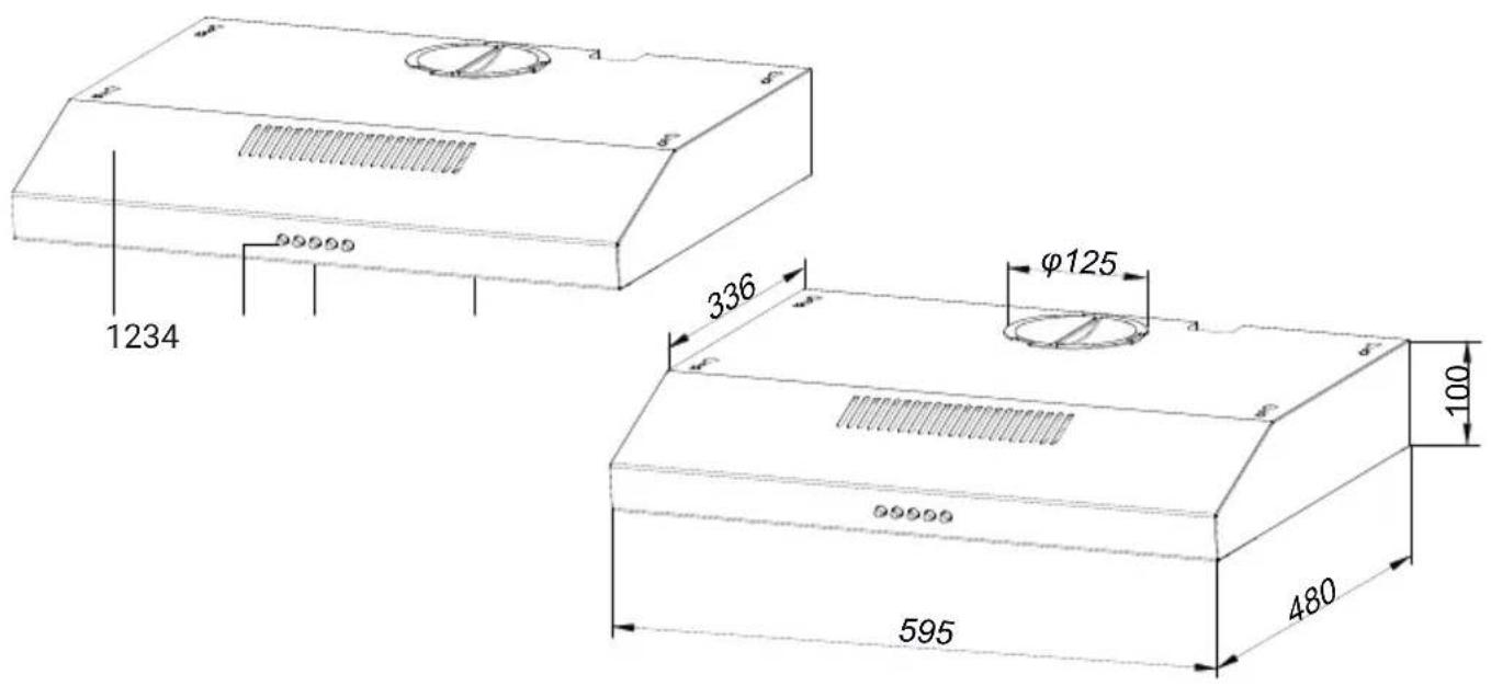 1234 336 φ125 595 480 100
