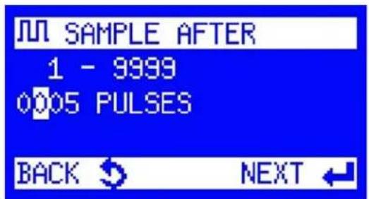 JUN SAMPLE AFTER 1 - 9999 0005 PULSES BACK NEXT