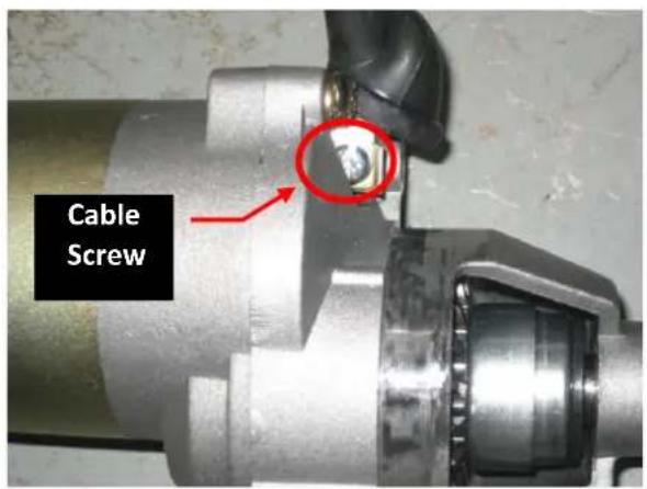 Cable Screw