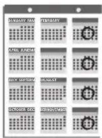 JANUARY JANUARY FEBRUARY AMUL BURGER HAPPY SEPTEMBER BROCCOLIT SUCCHINI DECEMBER SEPTEMBER JUNIOR JULIO JULIO JULIO