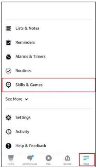 Lists & Notes Reminders Alarms & Timers Routines Skills & Games See More Settings Activity Help & Feedback