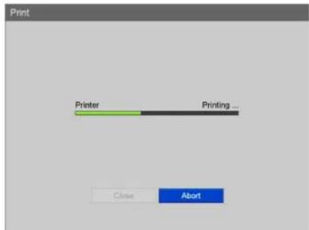 Print Printer Printing ... Close Abort
